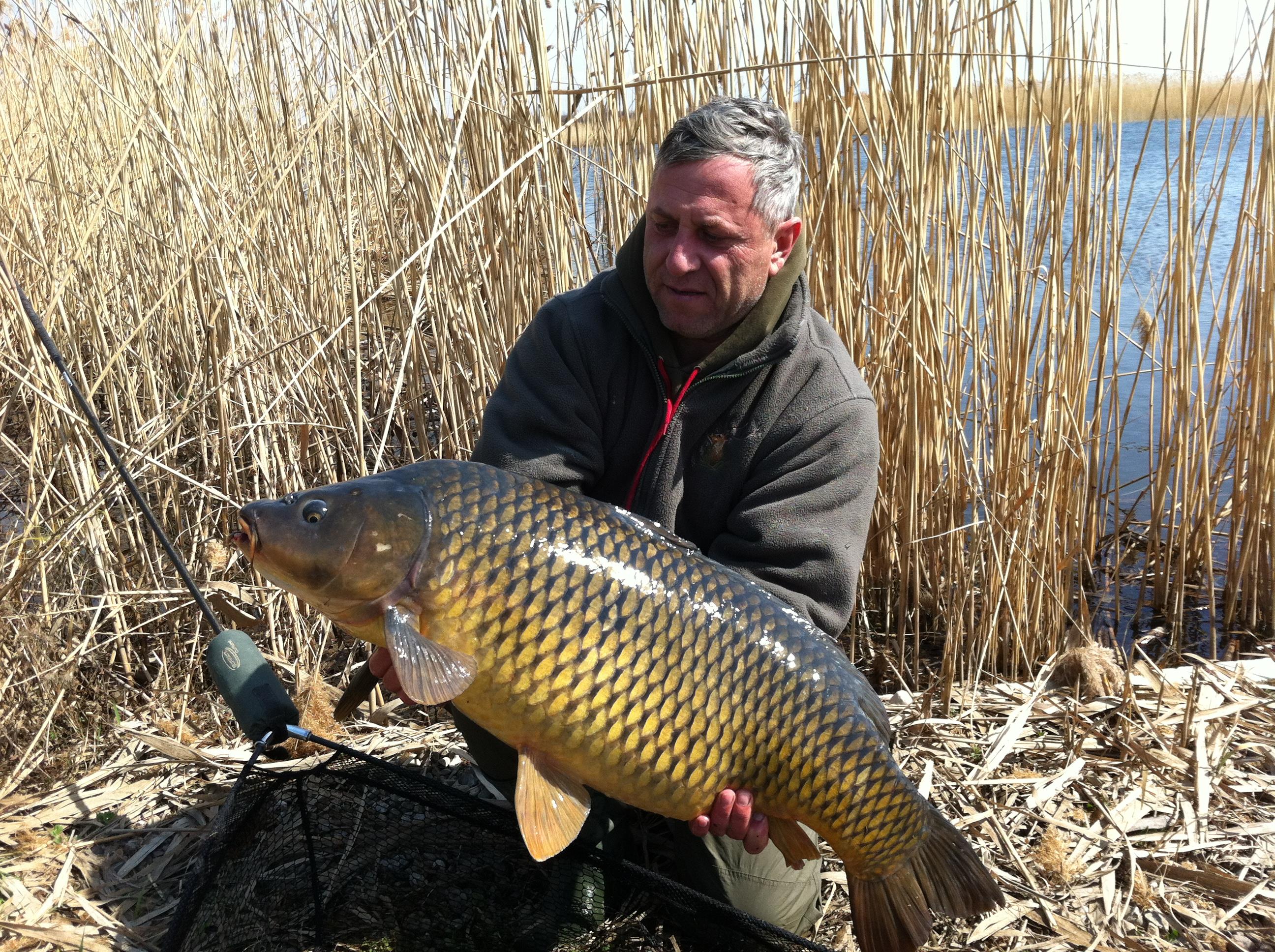 Tancabesti 2012 - aprilie 2012 008.JPG